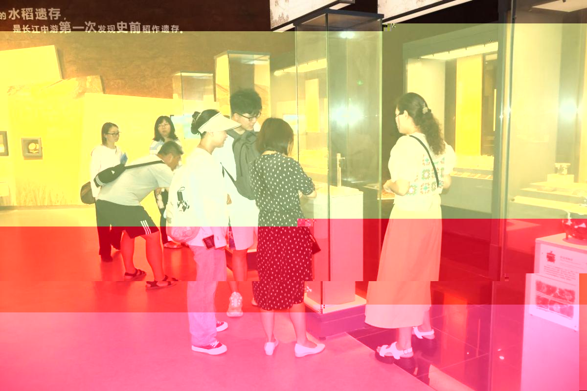 實踐團隊成員參觀屈家嶺農耕文化博物館(通訊員 張新宇 攝)