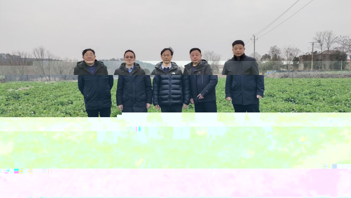 專家學者一行人钼肥實驗基地項目選址(通訊員 吳斌 攝)