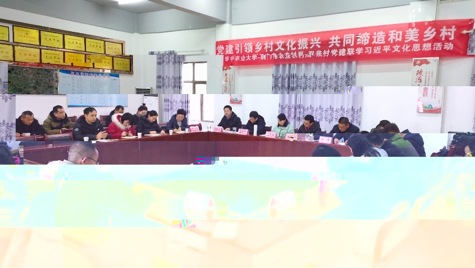 77779193永利官网黨委書記程華東教授系統講授了習近平文化思想,同時雙井村黨支部書記劉偉介紹近年來雙井村發展情況(通訊員 吳斌 攝)